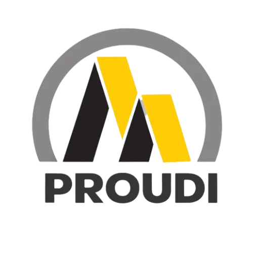 proudi.co.in